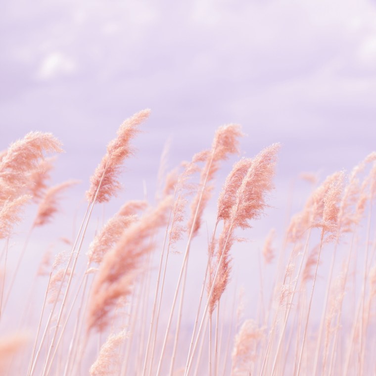 Фон пастельные тона