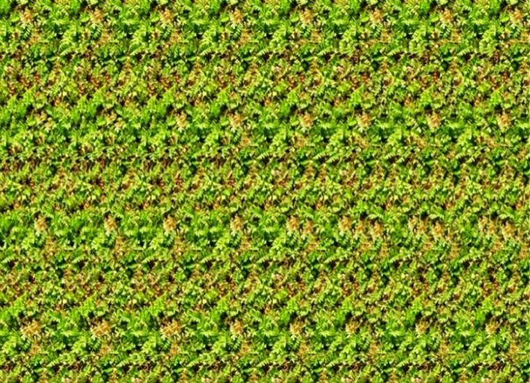 Стереограммы для зрения 2020