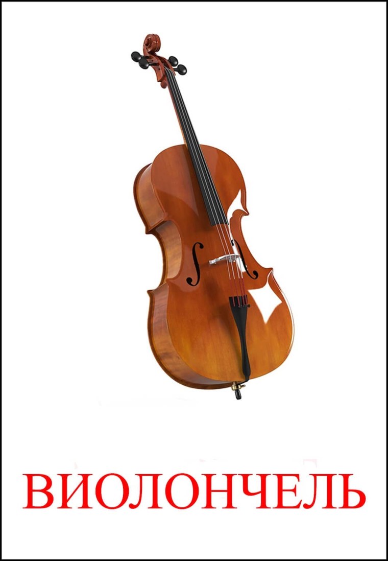 Альт виолончель контрабас