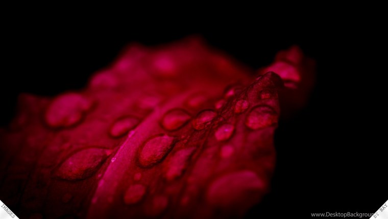 Чёрно красные обои