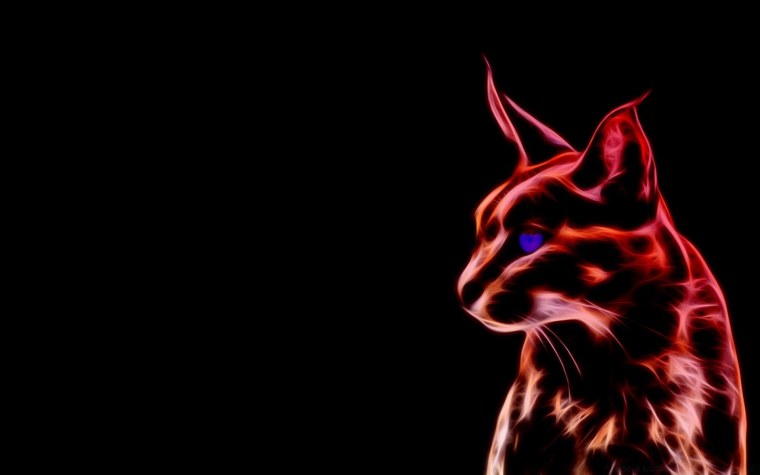 Неоновый кот