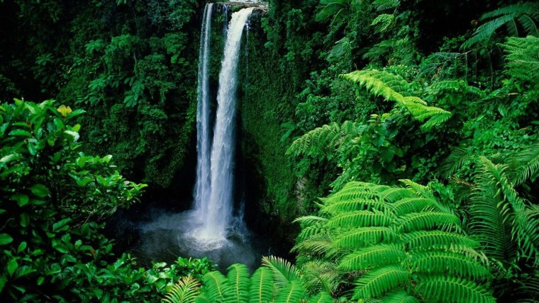 Водопад в лесу