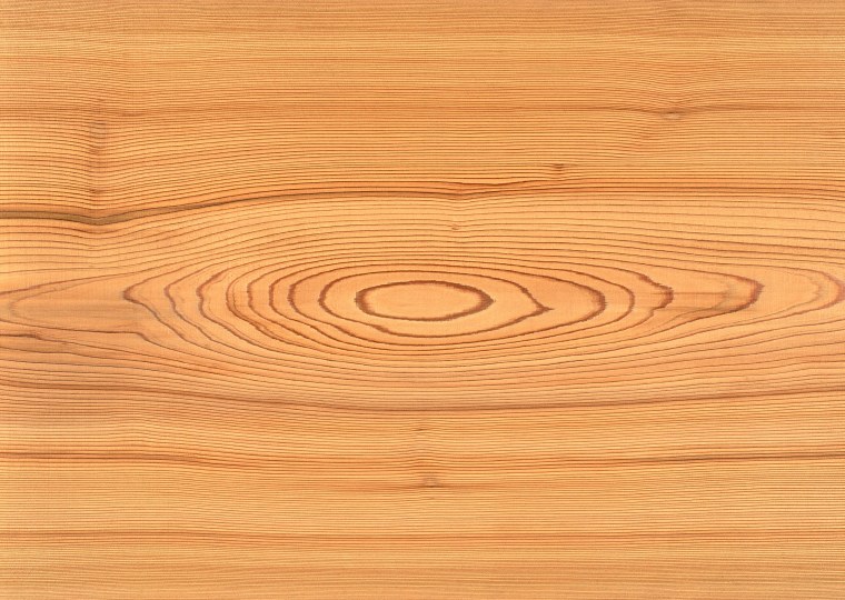 Дуб Арктический ламинат fp121