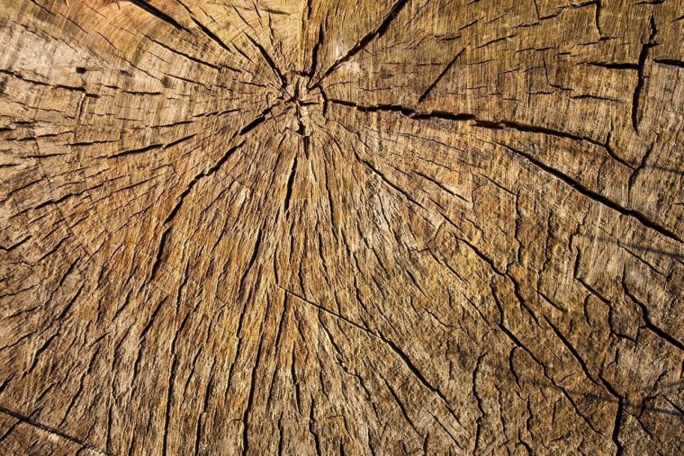 Фактурное дерево