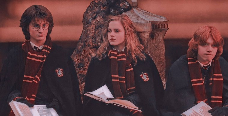 Гарри Рон и Гермиона Кубок огня