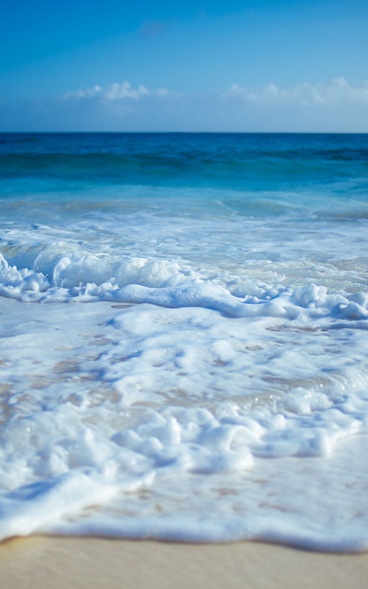 Фон море пальмы