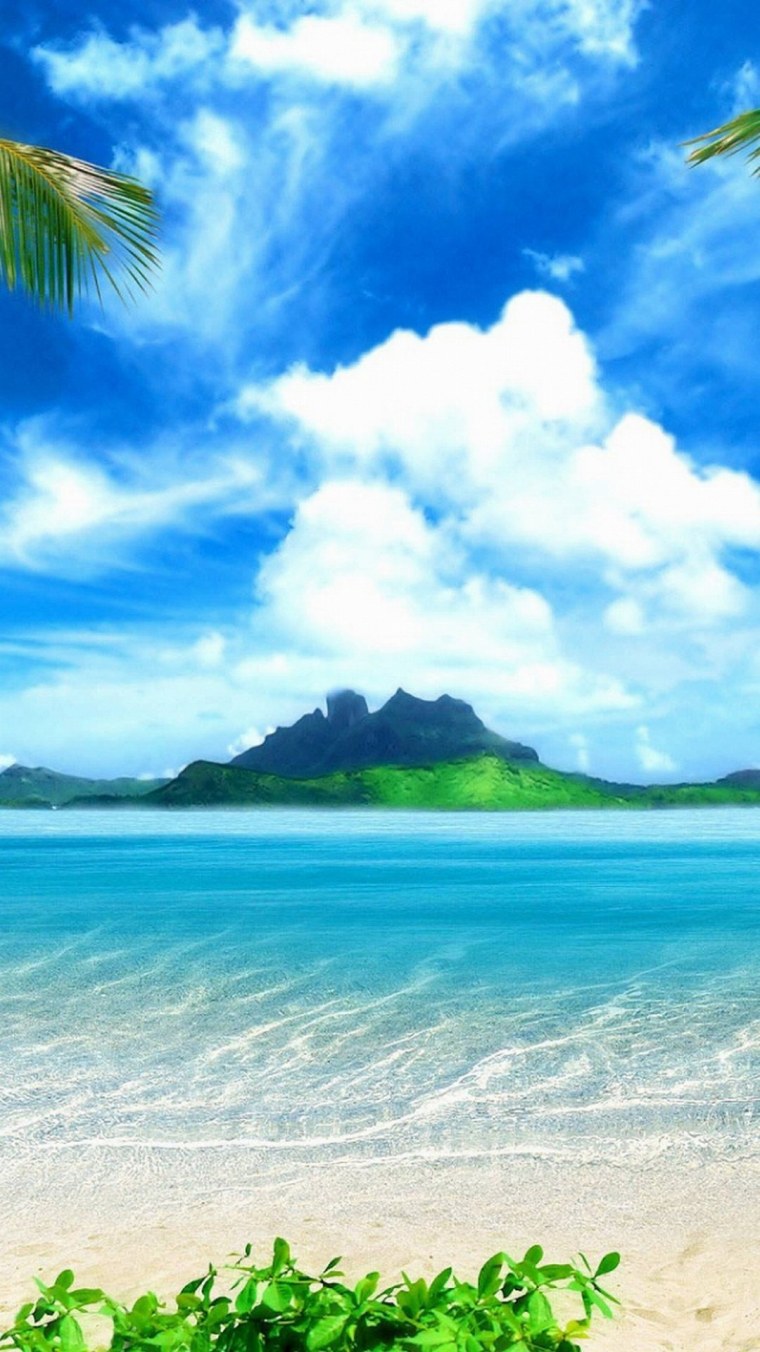 Море пальмы яхта