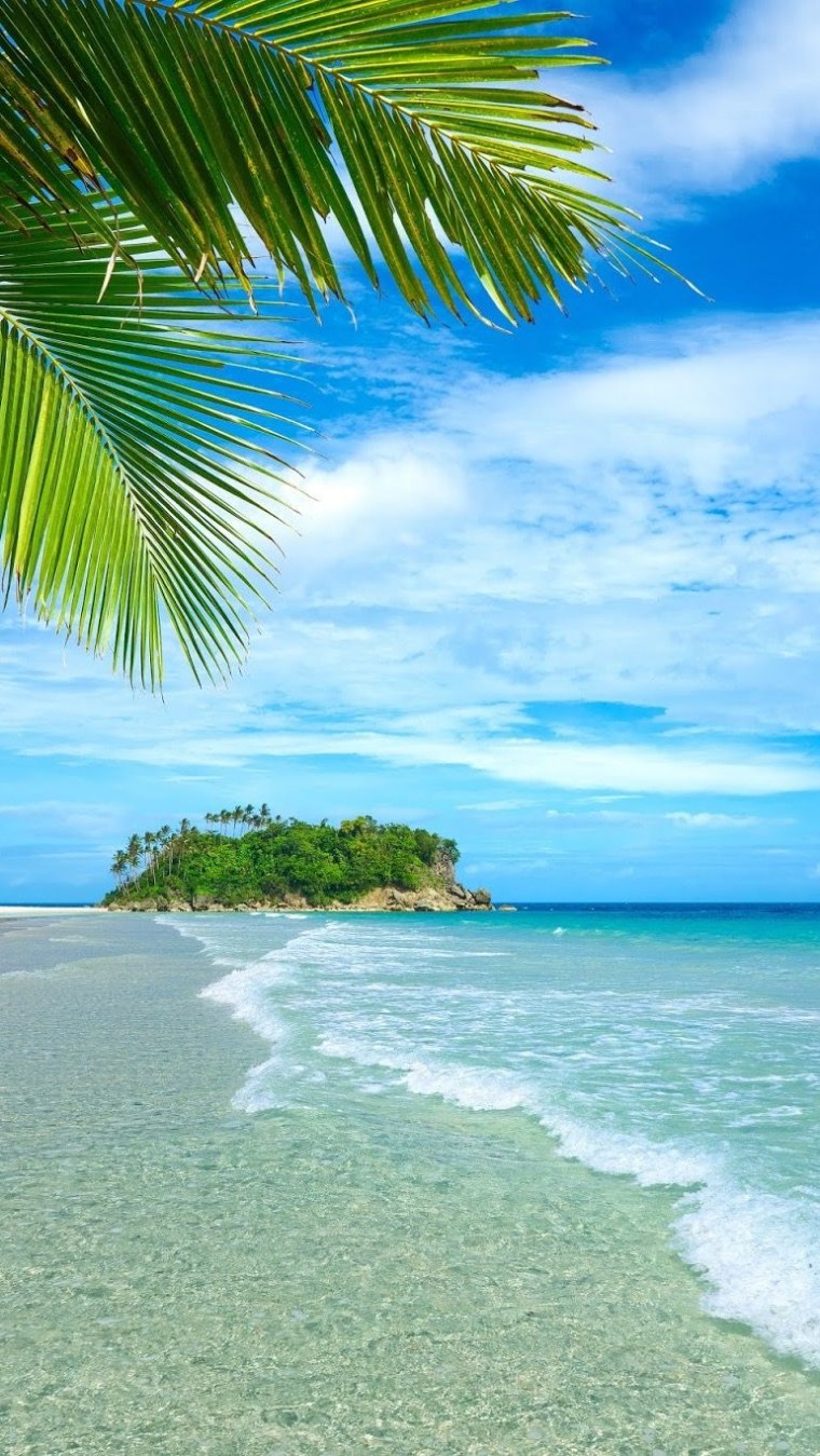 Пальмы на закате