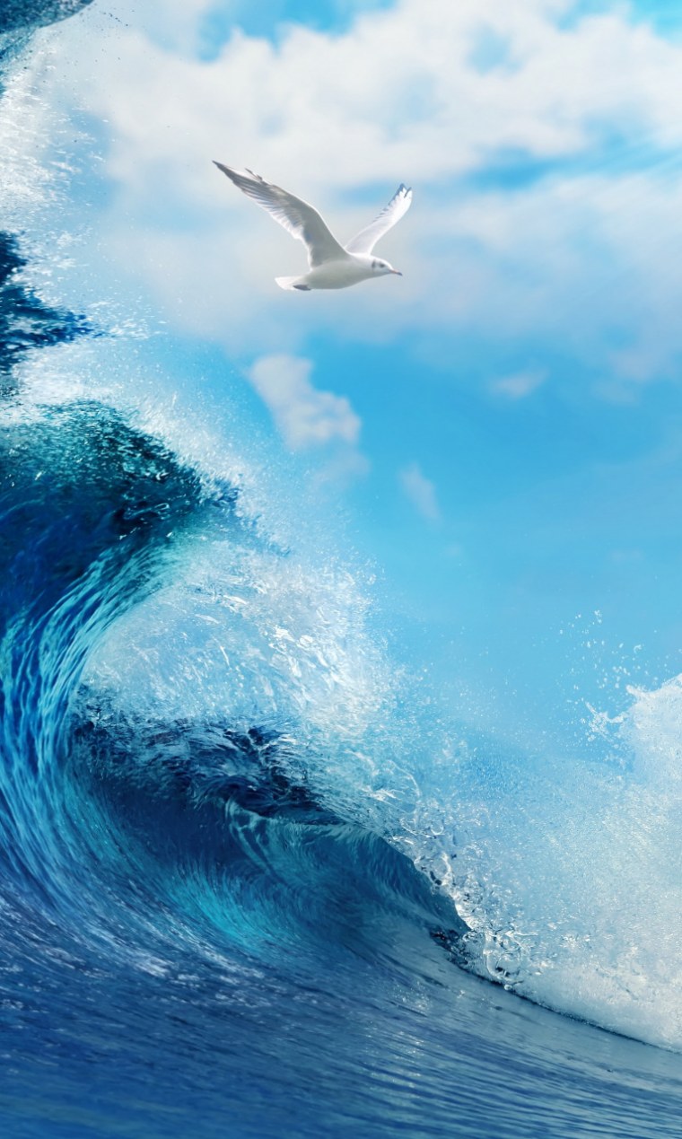 Картинки на рабочий стол успокаивающие