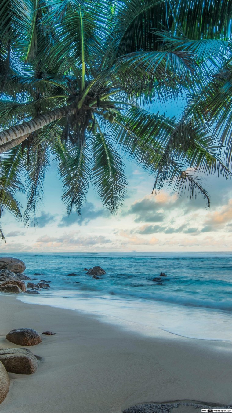 Морской Прибой