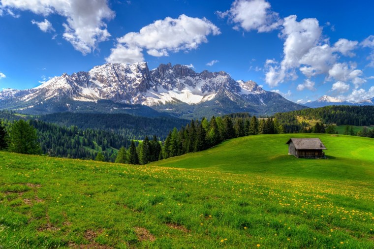 Альпийские Луга новая Зеландия