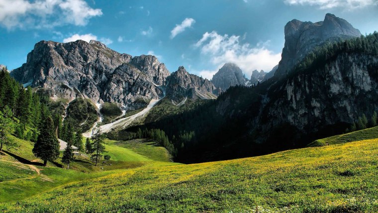Сглаженный ландшафт Долина горы лес