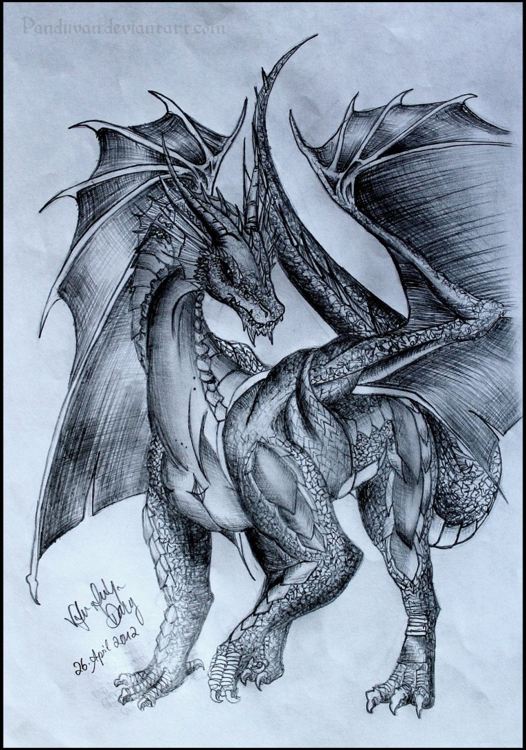 Драконы карандашом профессиональные