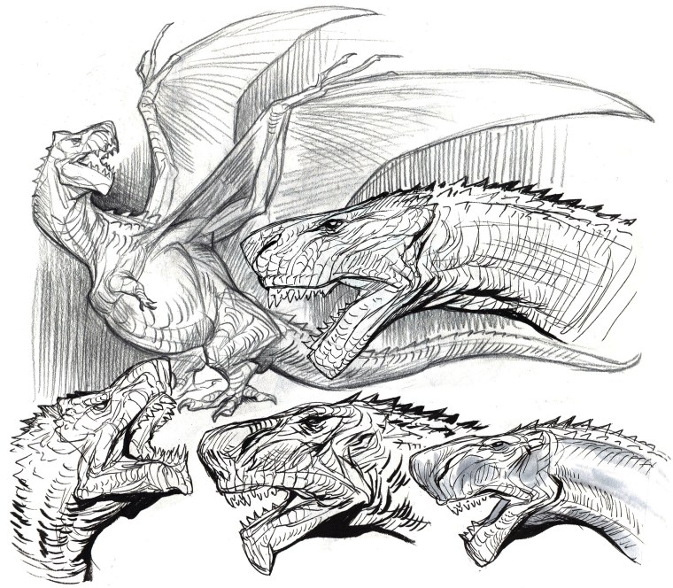 Дракон ВИВЕРН анатомия