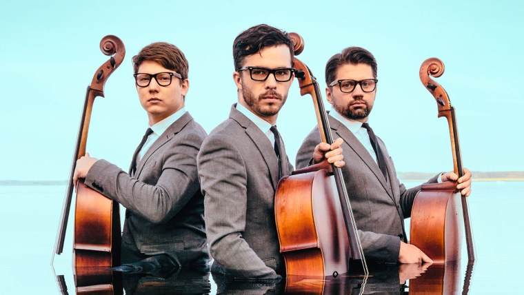 Трио виолончелистов из Европы