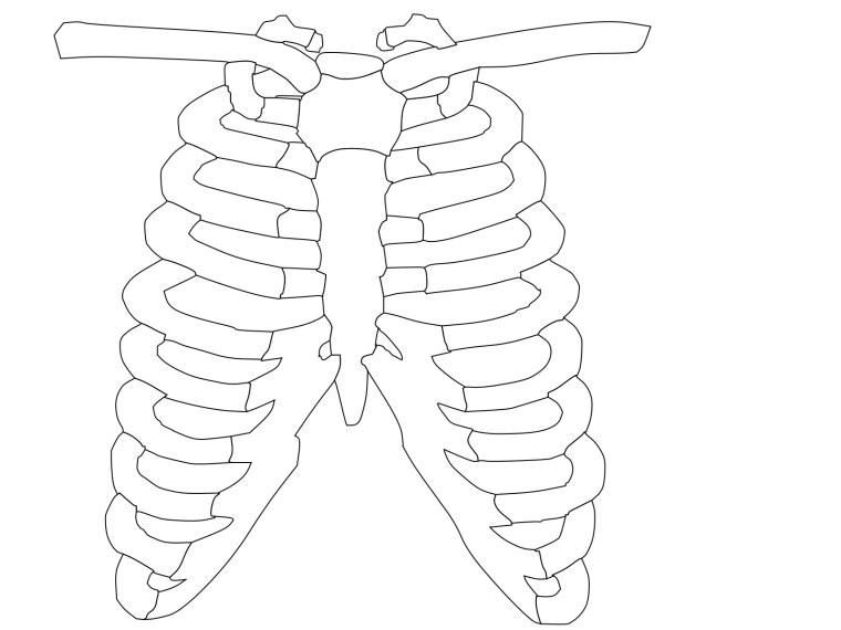 Кости Кощея