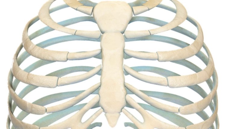 Плоские ребра