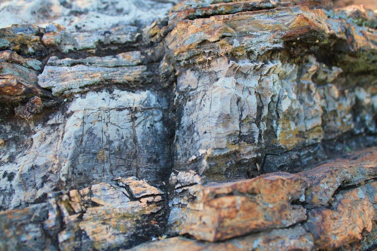 Террейн Геология