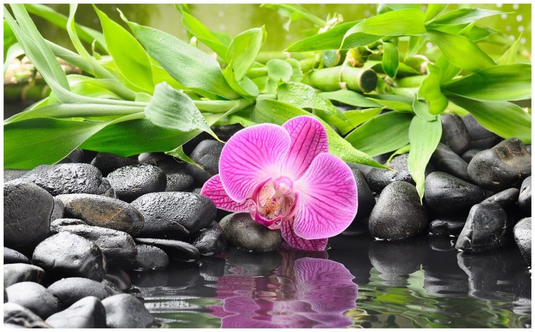 Красивые картинки на рабочий стол