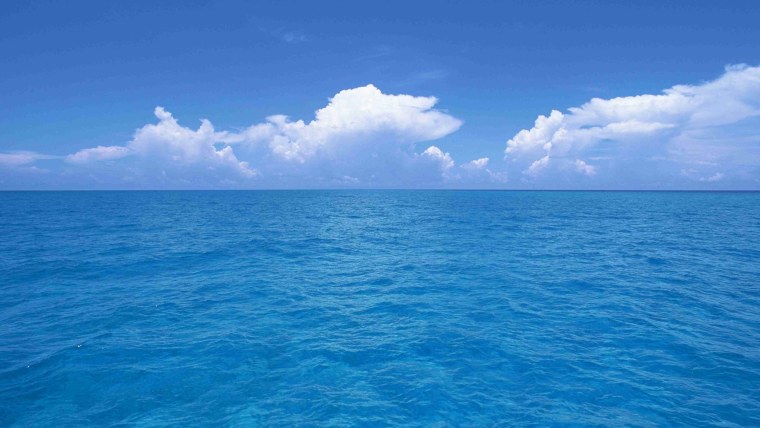 Фон на рабочий стол прикольные