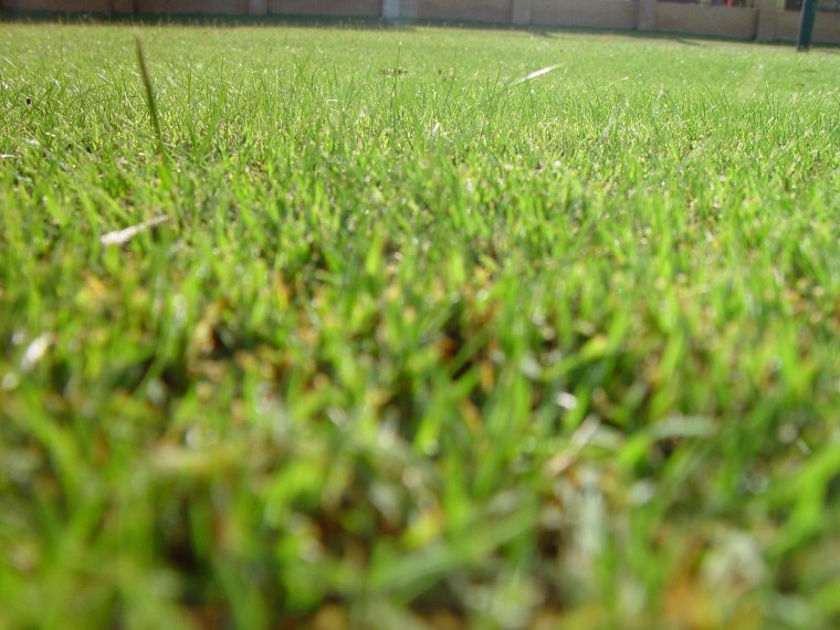 Футбольное поле фон