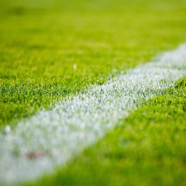 Зеленые водоросли ульфоциевые