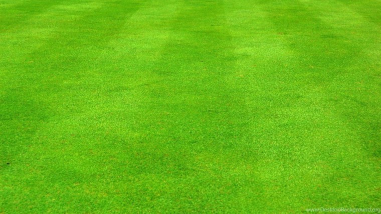 Футбольное поле трава