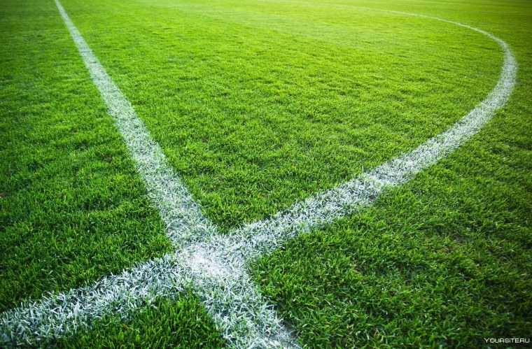 Текстура травы