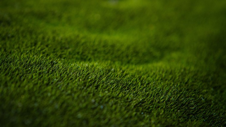 Обои на телефон трава