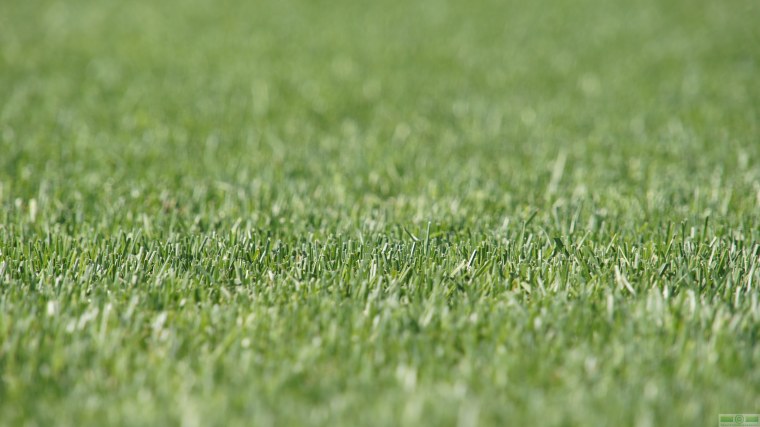 Текстура трава архикад