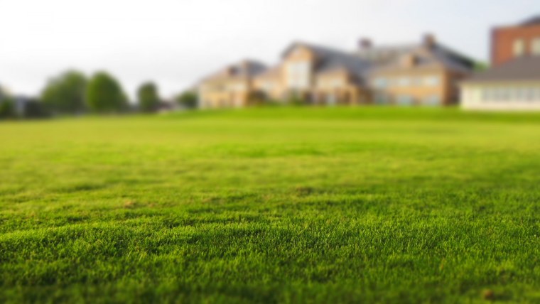 Искусственная трава деко 20