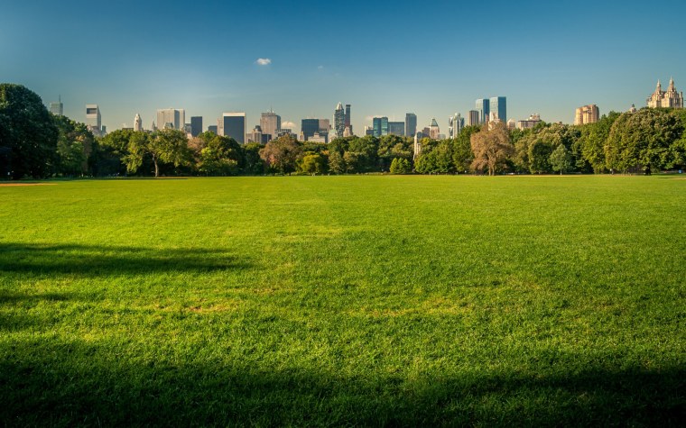 Яркий газон