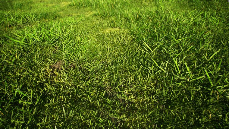 Футбольный газон