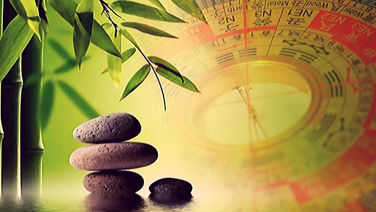 Денежное дерево с долларами