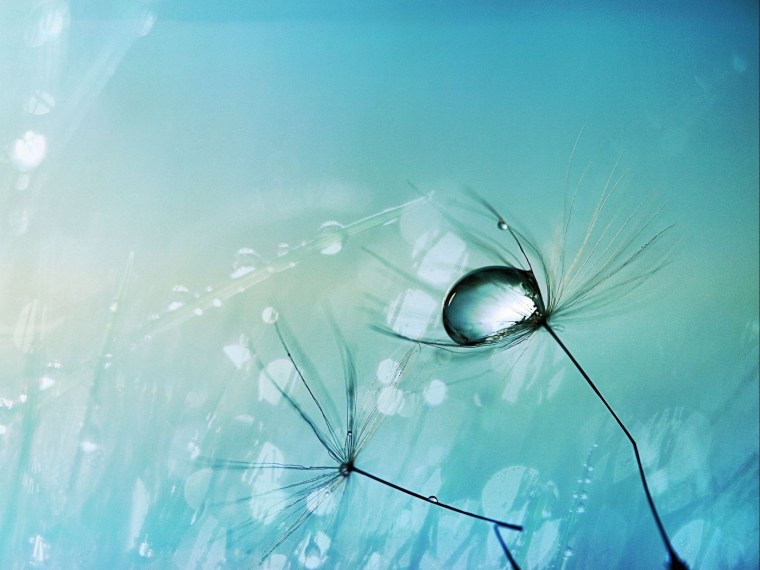 Фотообои для телефона самсунг