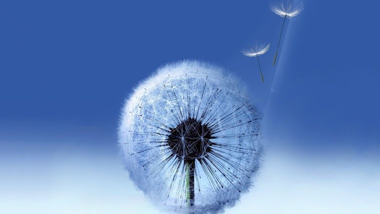 Over the Horizon Samsung Galaxy s3