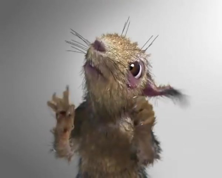 Джунгарский бурундук