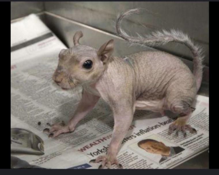 Картинки приколы с надпися