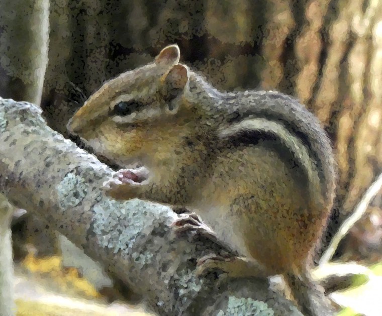 Страшный суслик