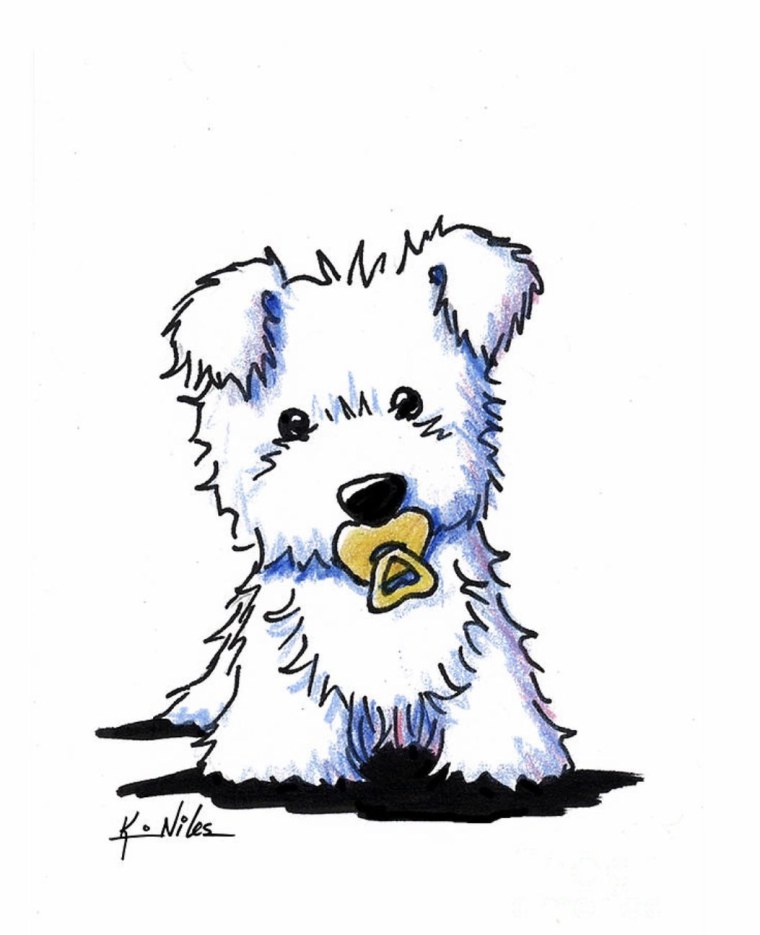 Вест хайленд рисунок