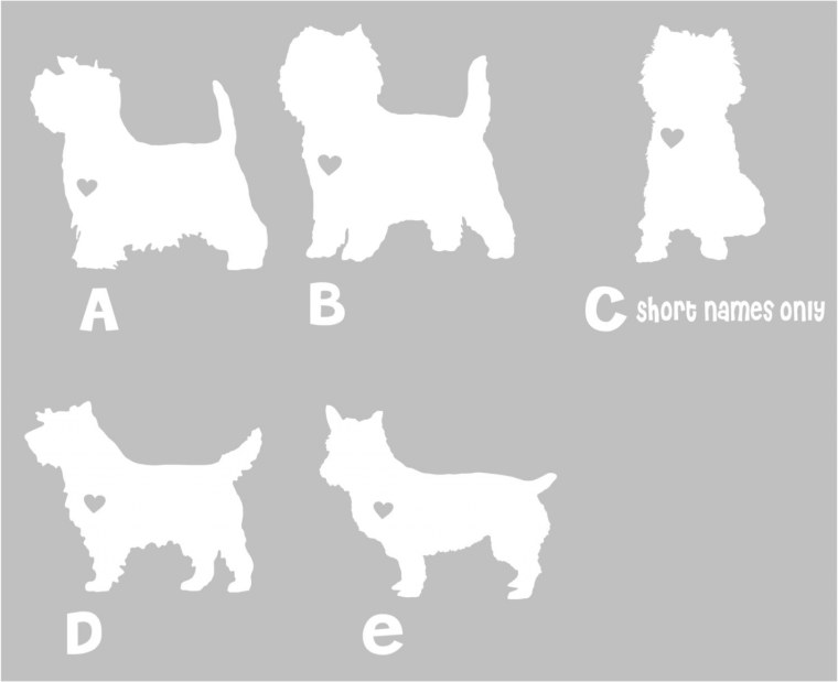 Вест-хайленд-Уайт-терьер контур