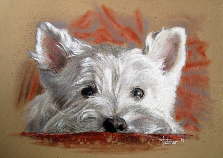 Вест-хайленд-Уайт-терьер рисунок