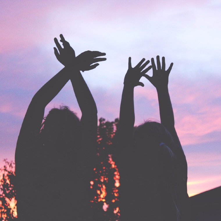 Друзья на закате