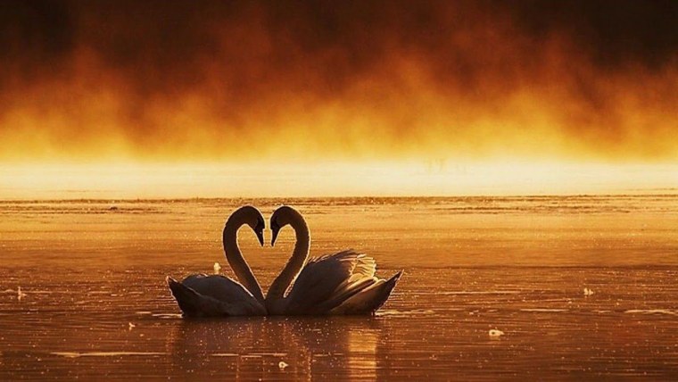 Фон пейзаж для пары