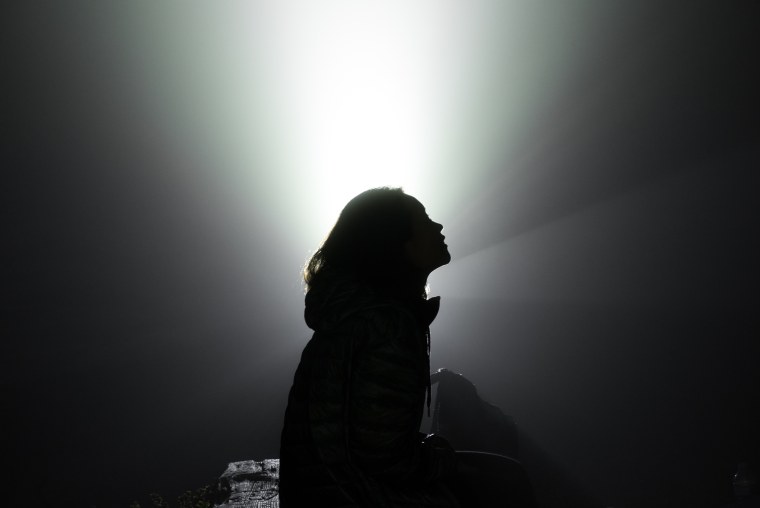 Елена Звягинцева Елена Лядова