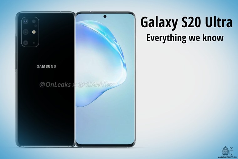 Голубая ель макро