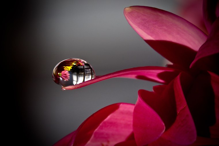 Обои самсунг галакси Flip 3