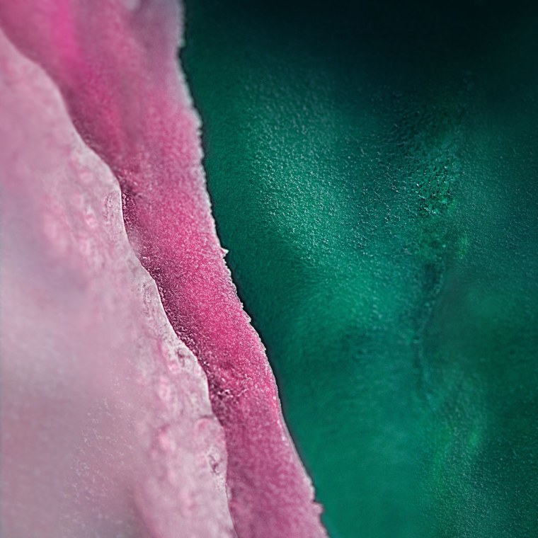 Samsung Galaxy s21 Fe обои