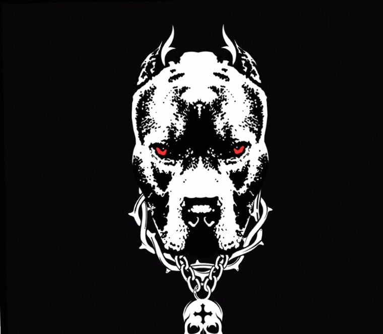 Питбуль на черном фоне