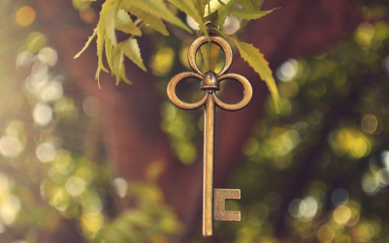 Красивые ключи на природе